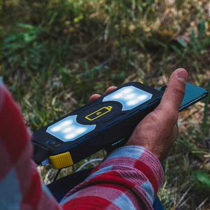 Lion Prowler Portable Power Bank: Wireless Charging, Multi-USB, Flashlight, Lamp